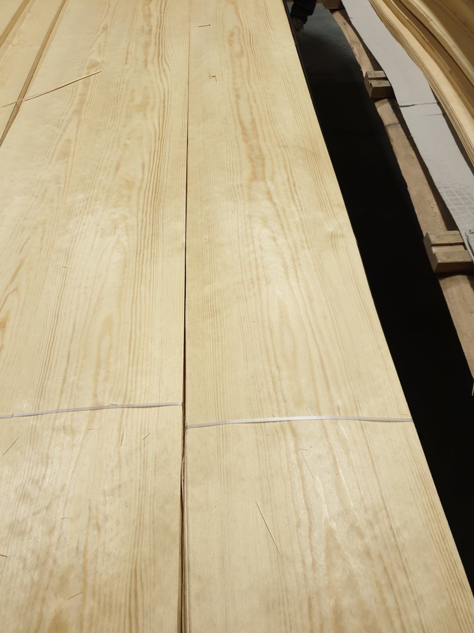 Baltic / Nordic Pine