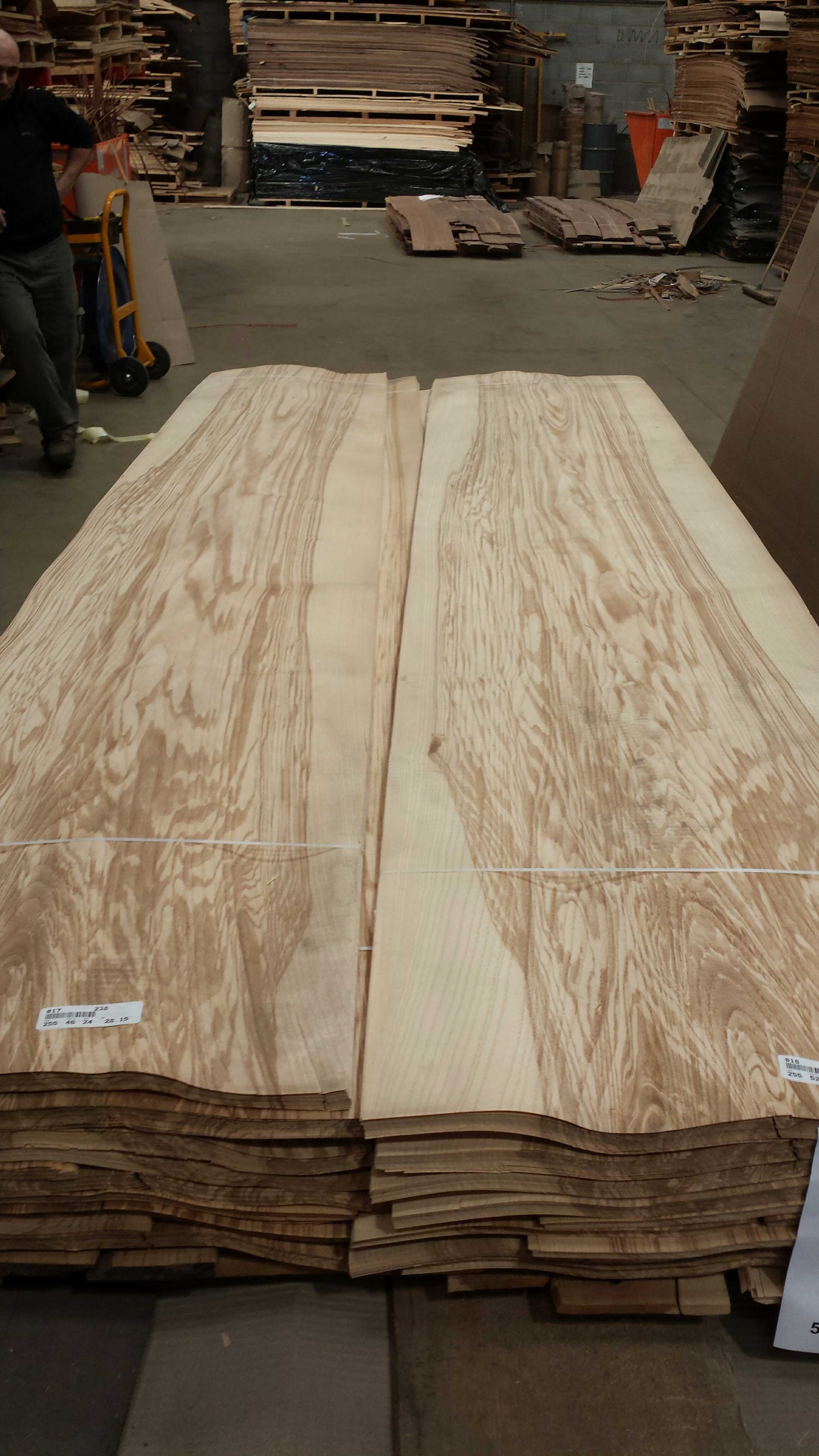 Olive Ash