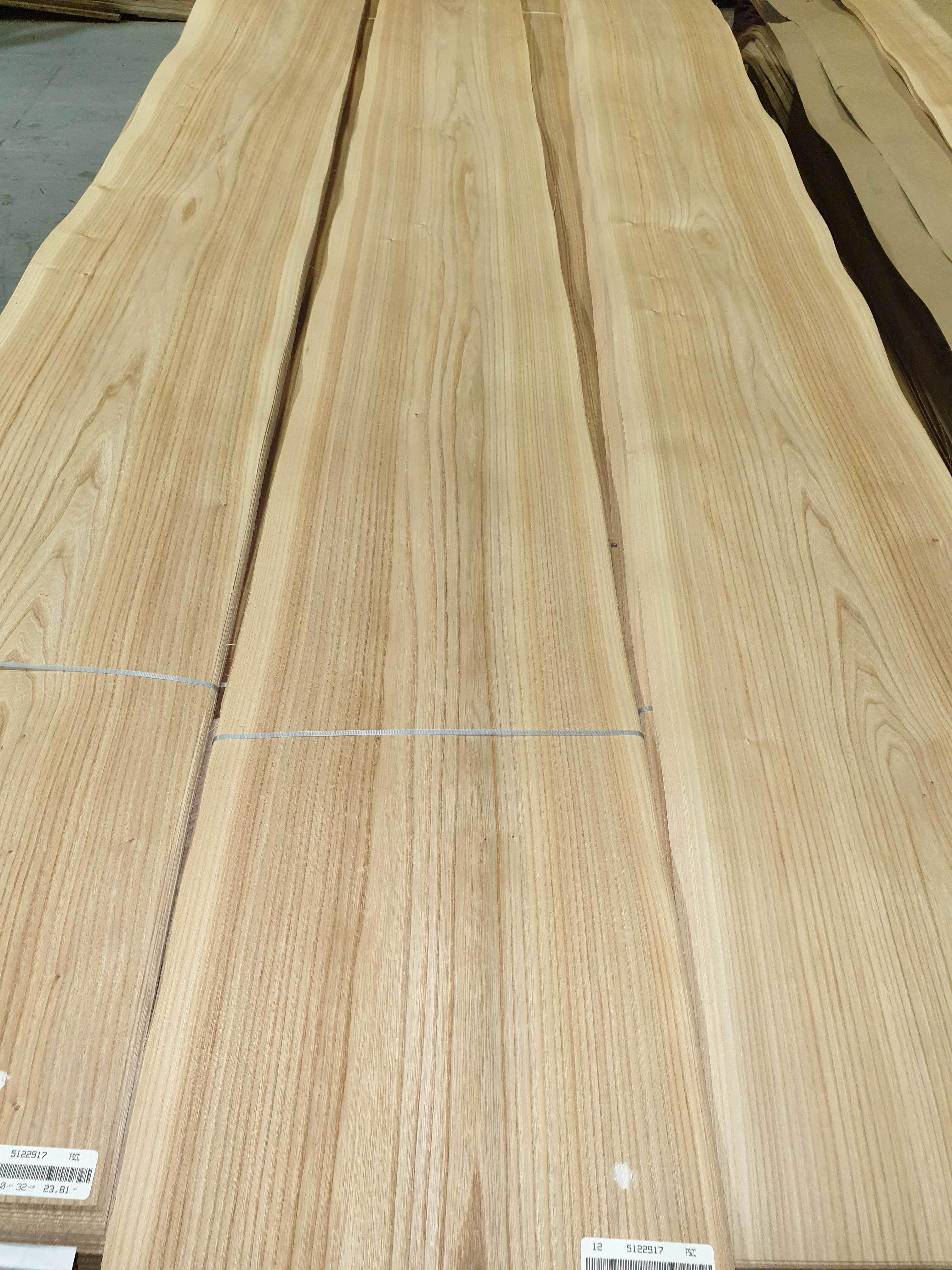 Red Elm