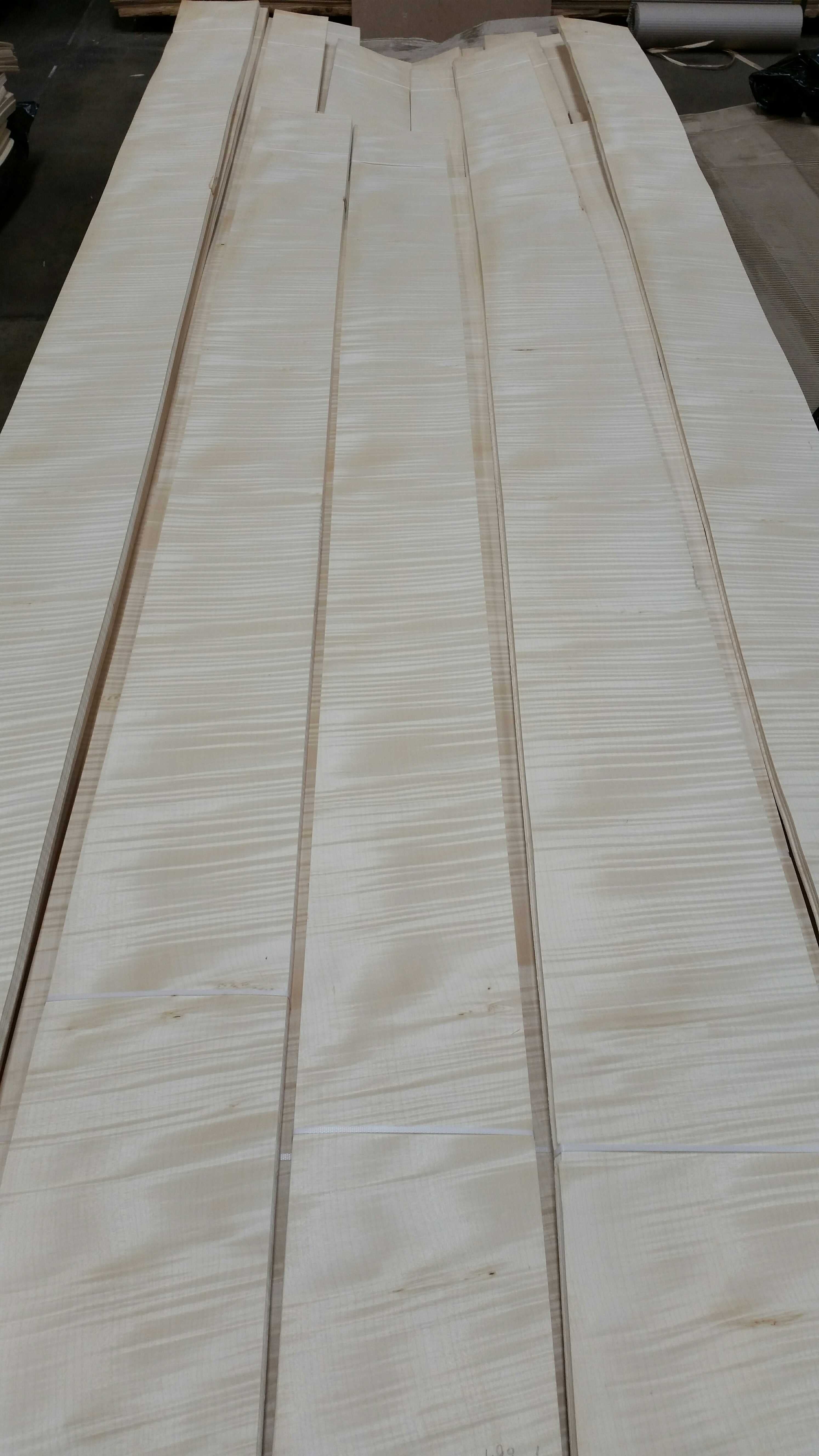 Figured Sycamore