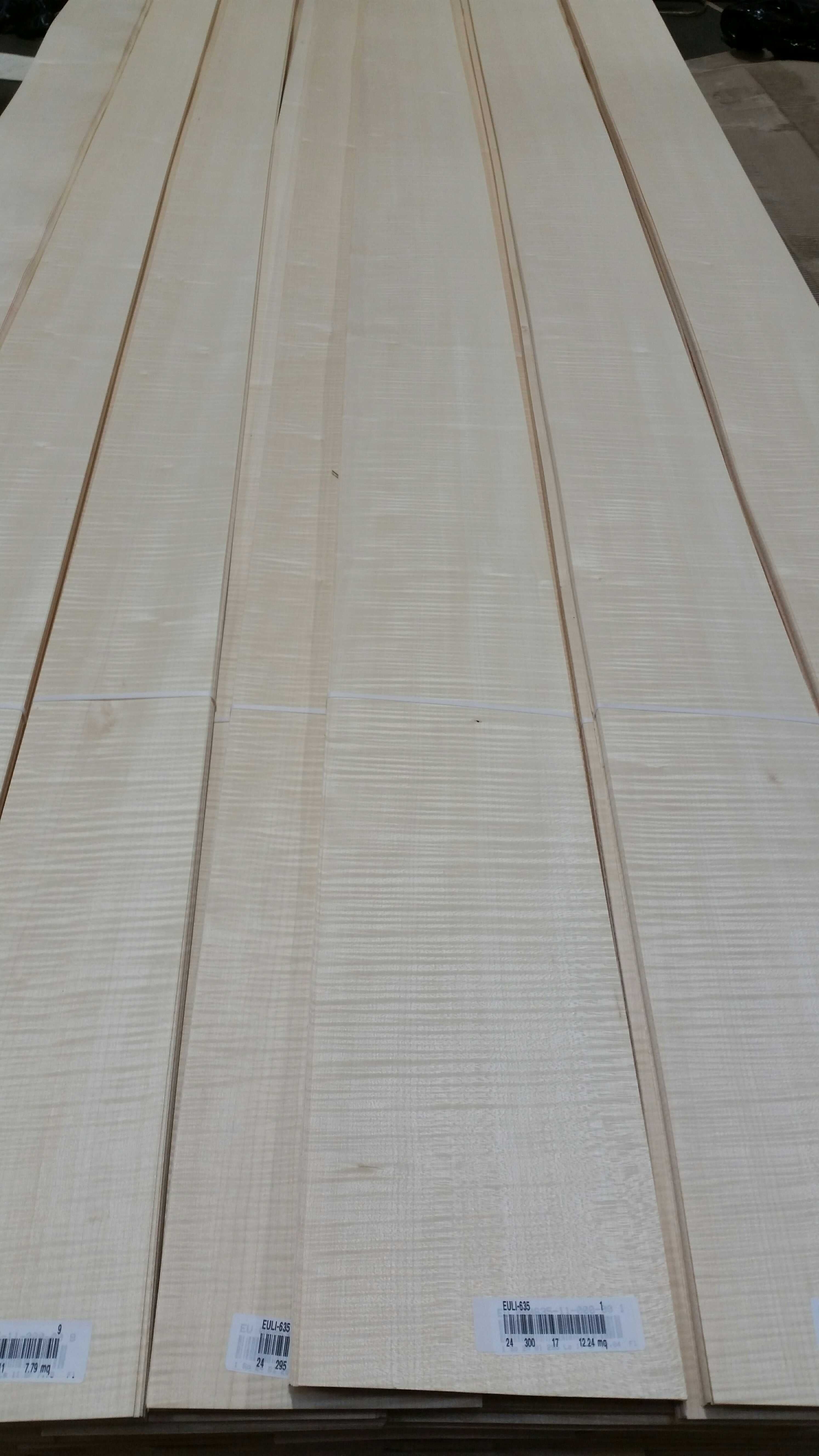 Figured Sycamore