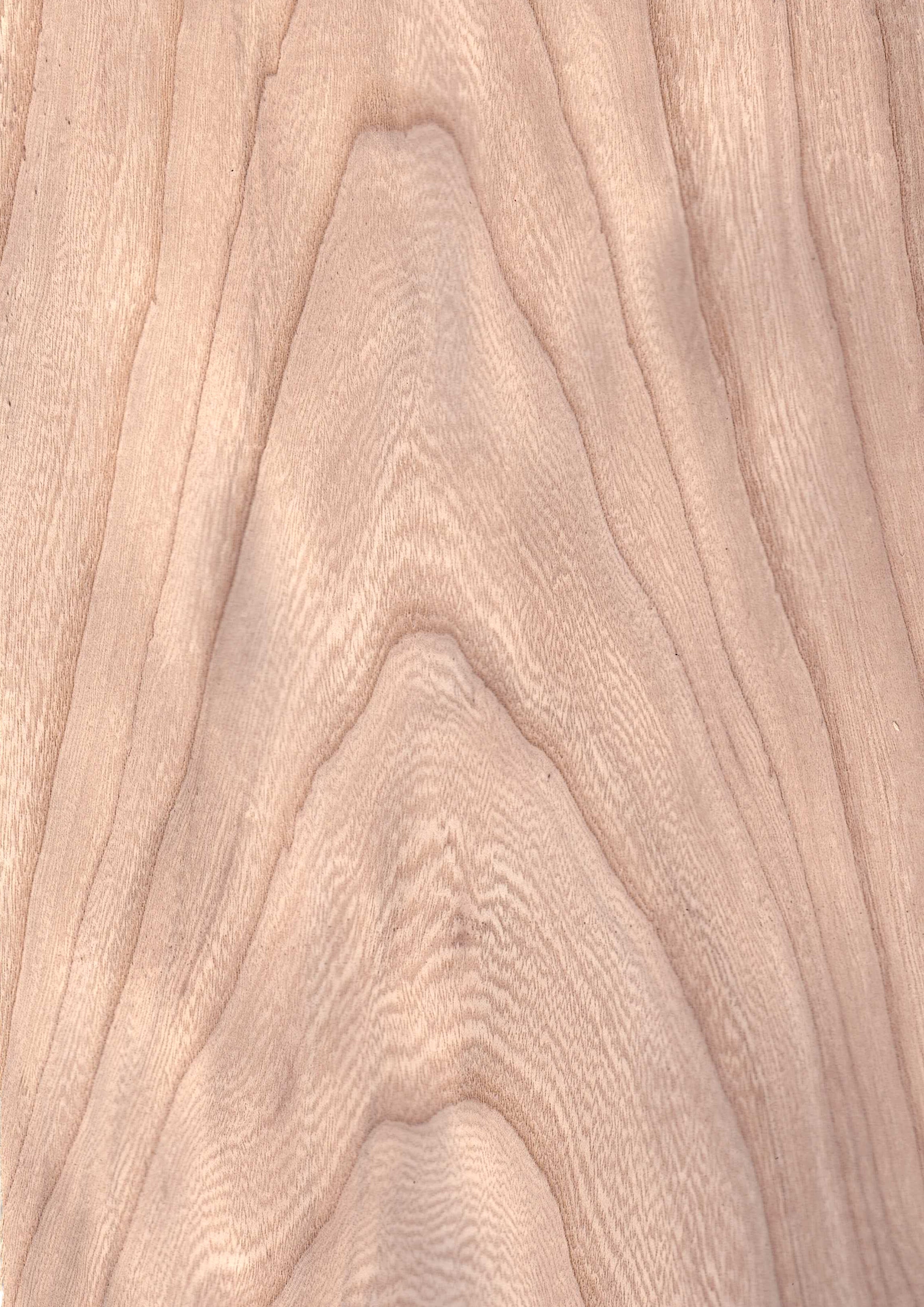 Wood Veneer - Grey Elm Crown - DF Richards Veneers