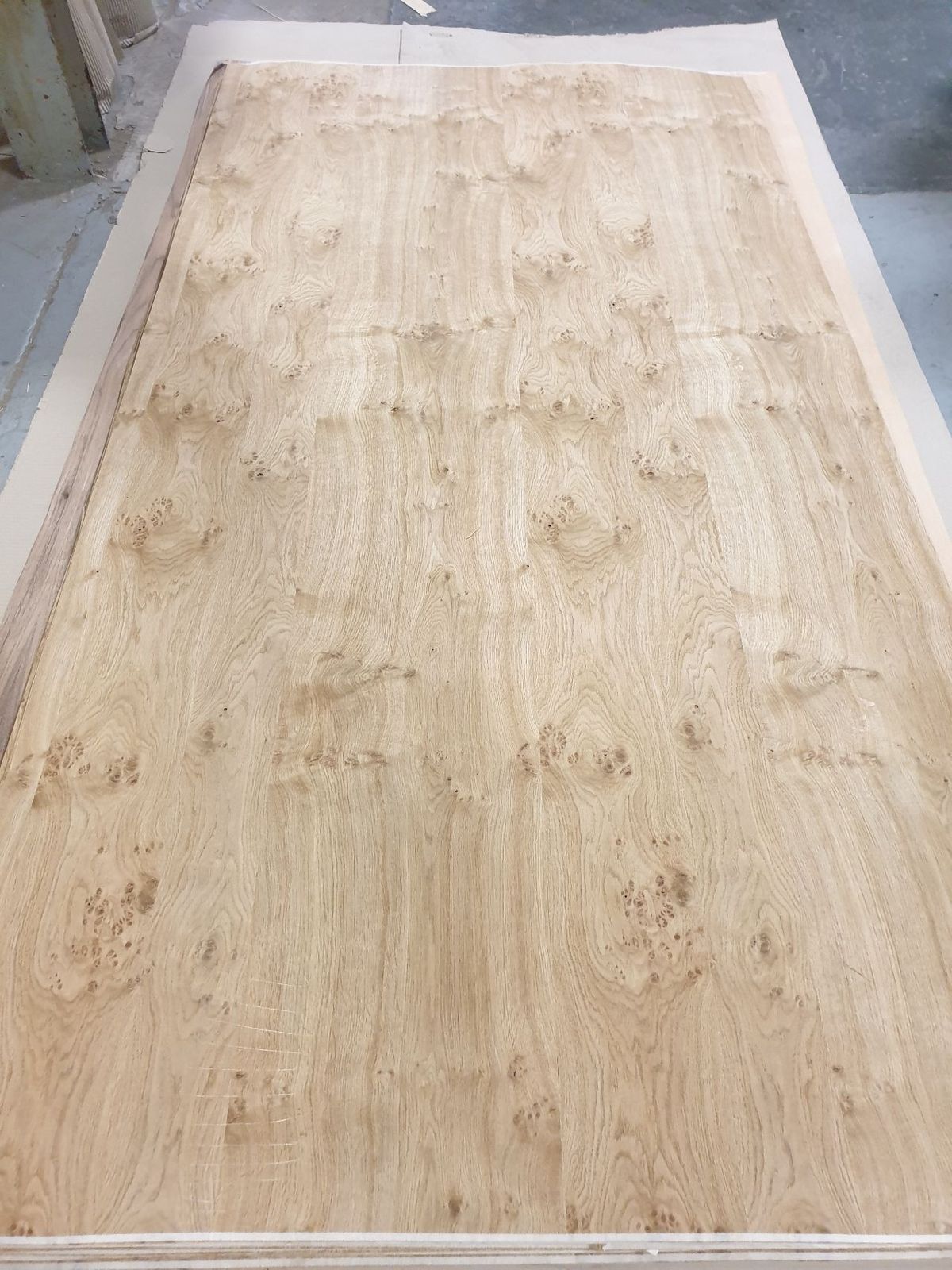 Wood Veneer - Pippy Oak - DF Richards Veneers