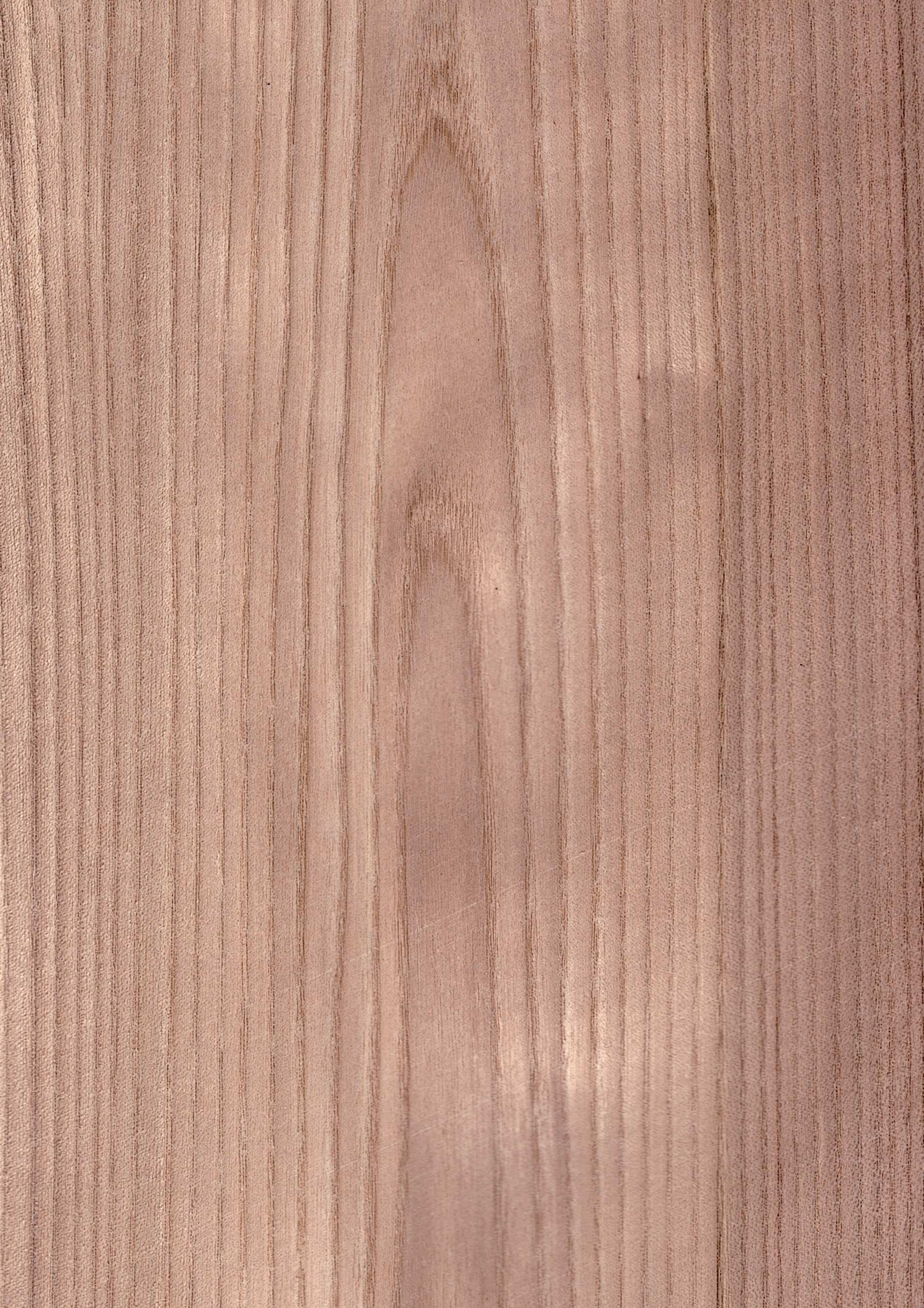Wood Veneer - Red Elm Crown - DF Richards Veneers