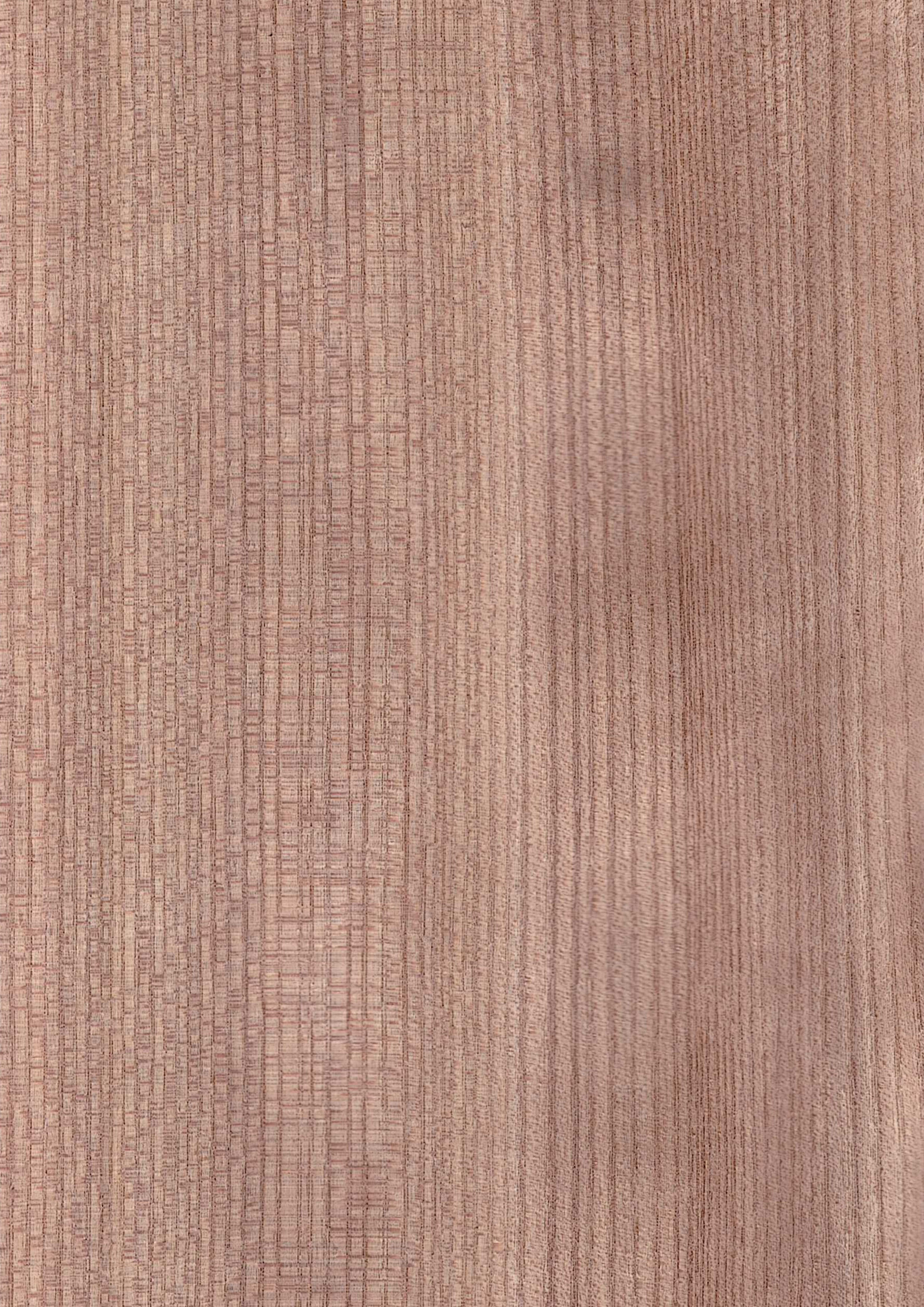 Wood Veneer - Red Elm Quarter - DF Richards Veneers