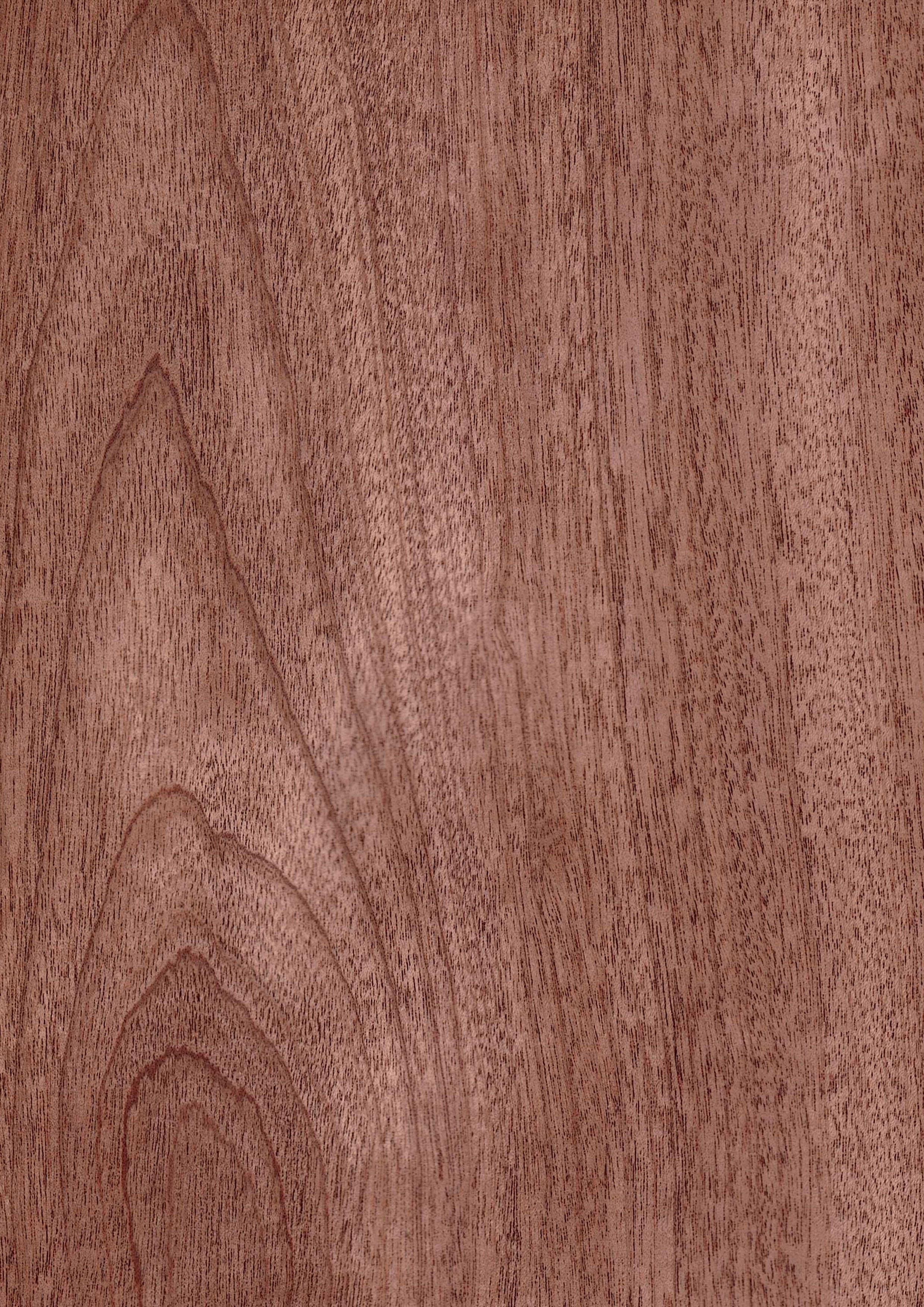 Sapele