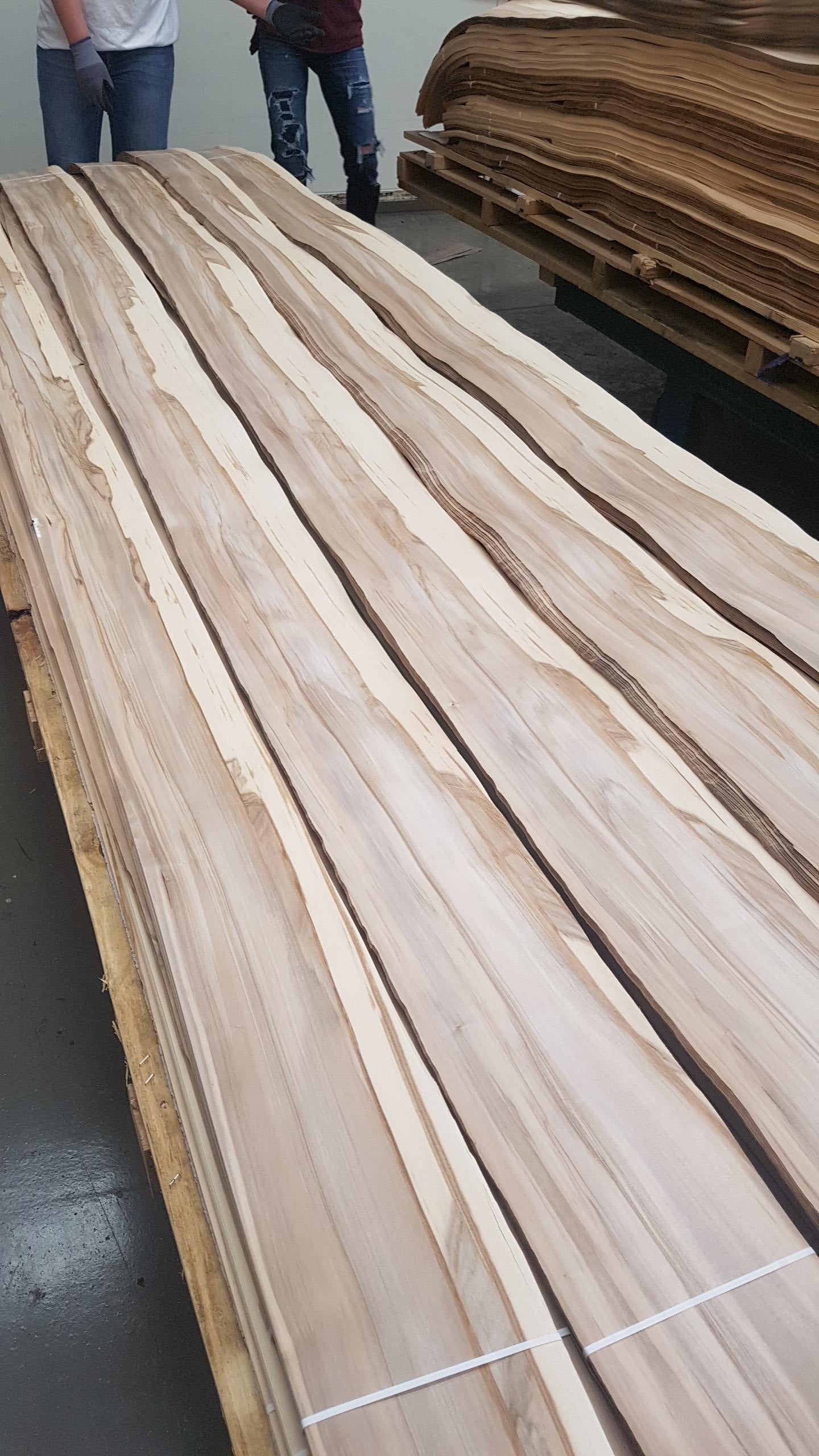 Wood Veneer - Satin Walnut - DF Richards Veneers