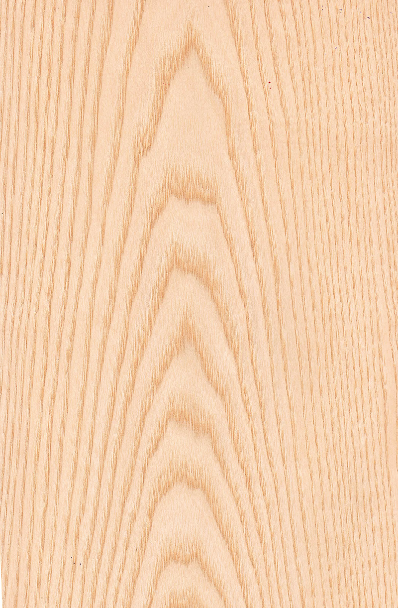 Wood Veneer - White Ash Crown - DF Richards Veneers