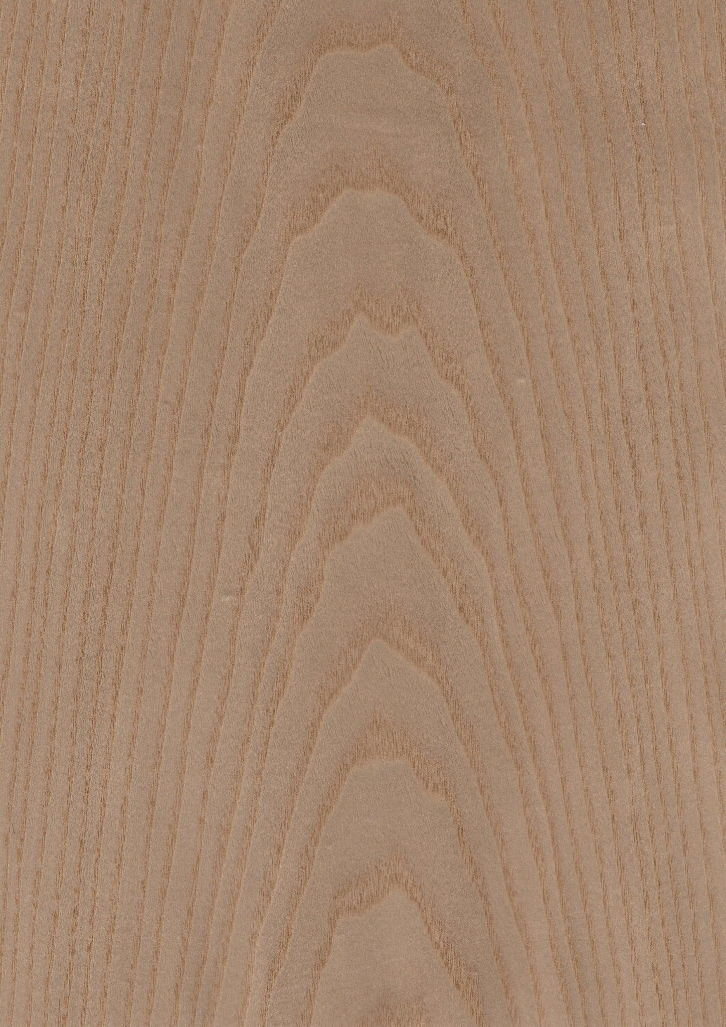 Wood Veneer - Ash MBF 102 - DF Richards Veneers