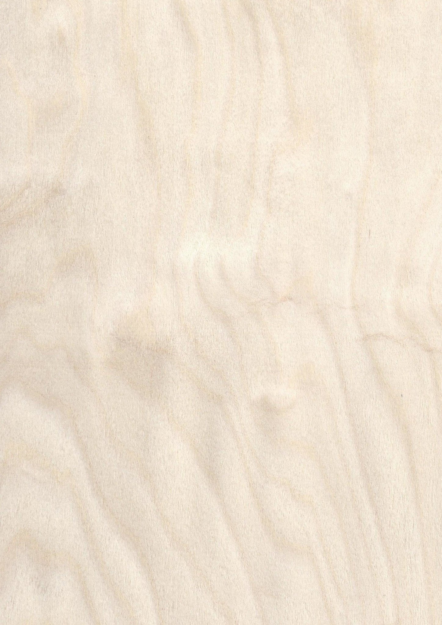 Wood Veneer - Birch - DF Richards Veneers