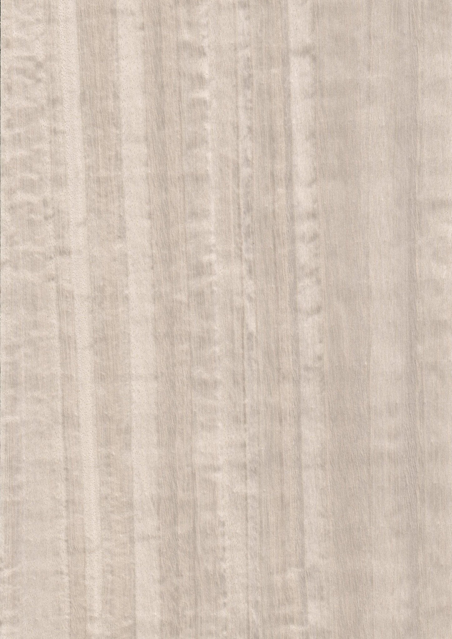 Wood Veneer - Eucalyptus MBF 124 - DF Richards Veneers