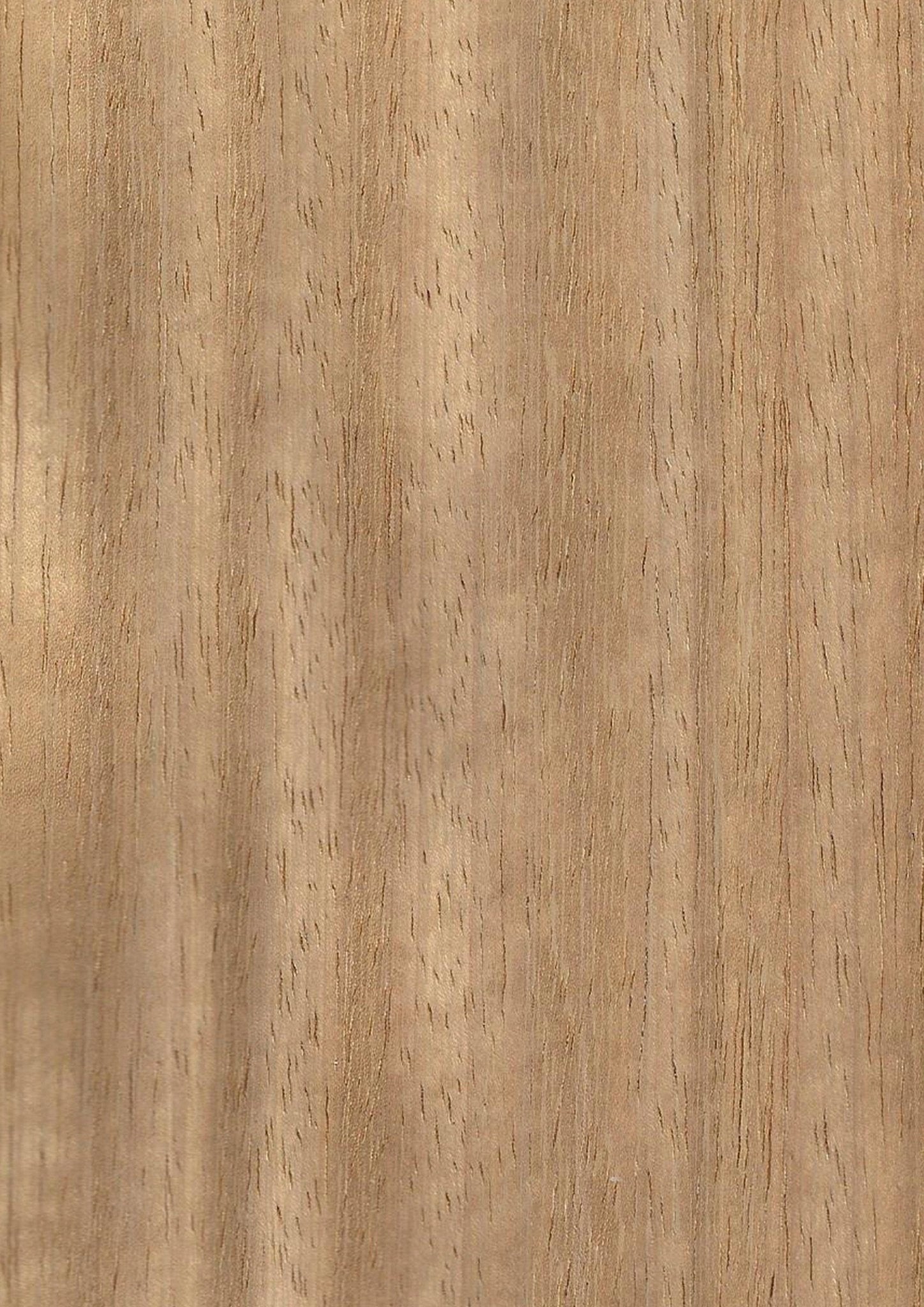 Wood Veneer - Iroko - DF Richards Veneers