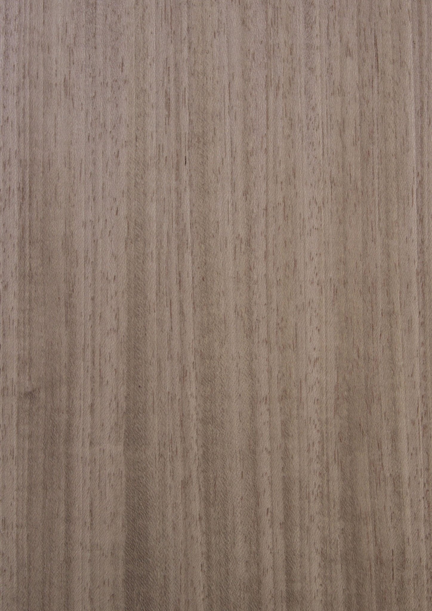 Wood Veneer - Koto GBF 104 - DF Richards Veneers