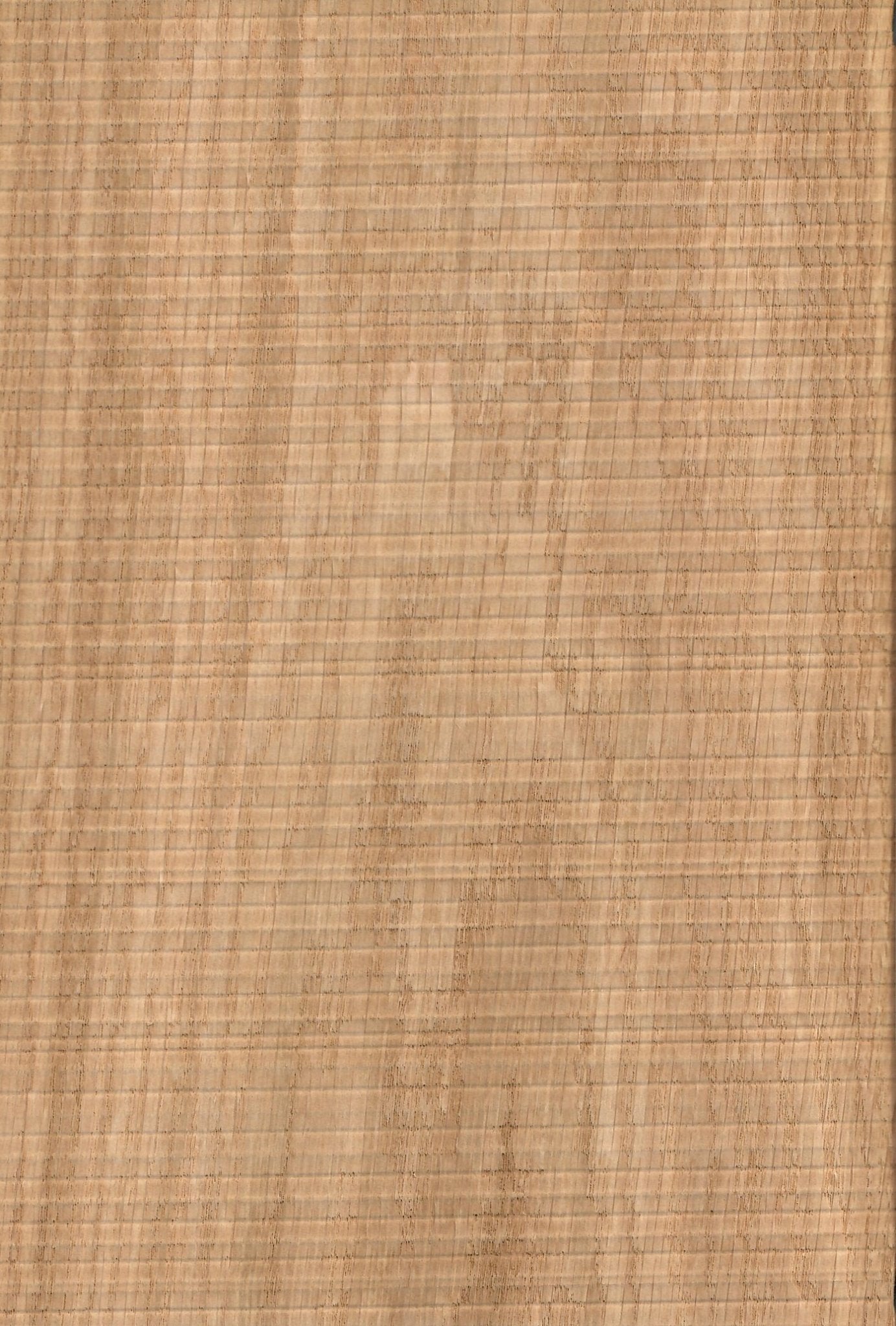 Wood Veneer - Natural Oak Feelwood - DF Richards Veneers