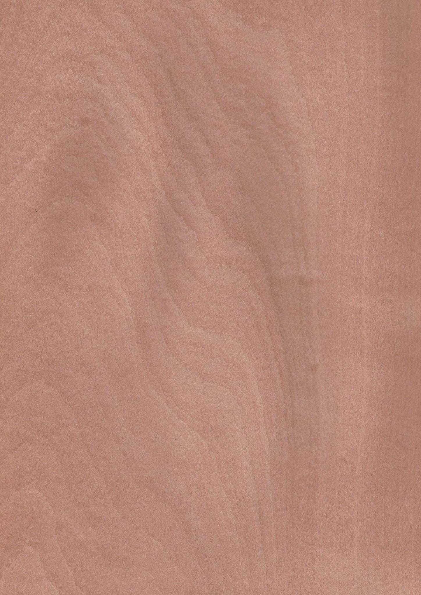 Pear Wood Veneer