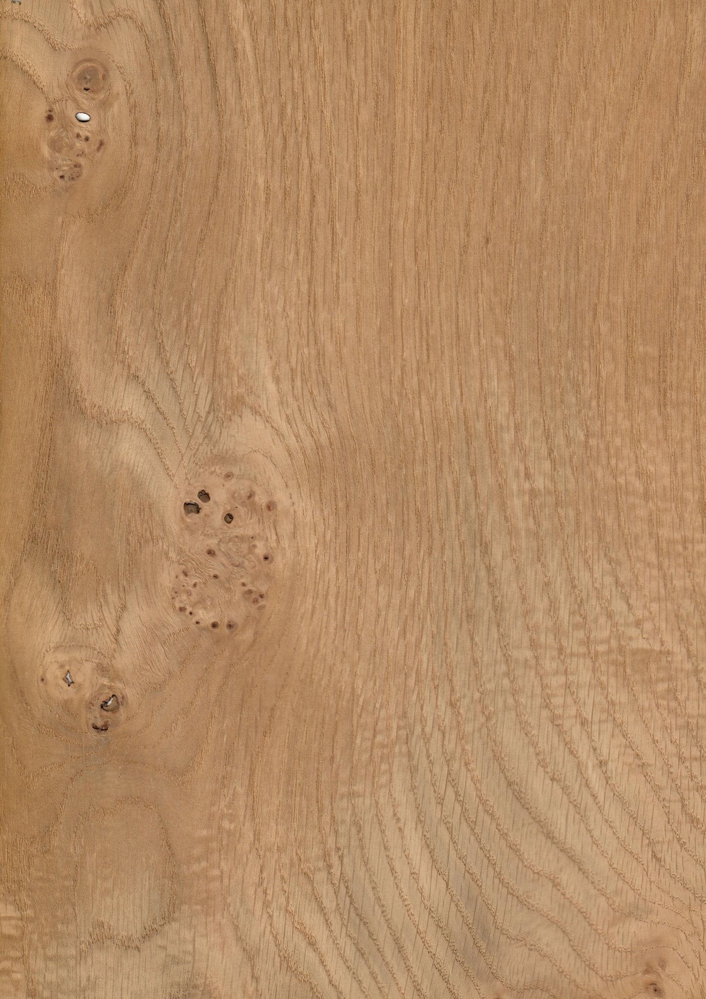 Wood Veneer - Pippy Oak - DF Richards Veneers