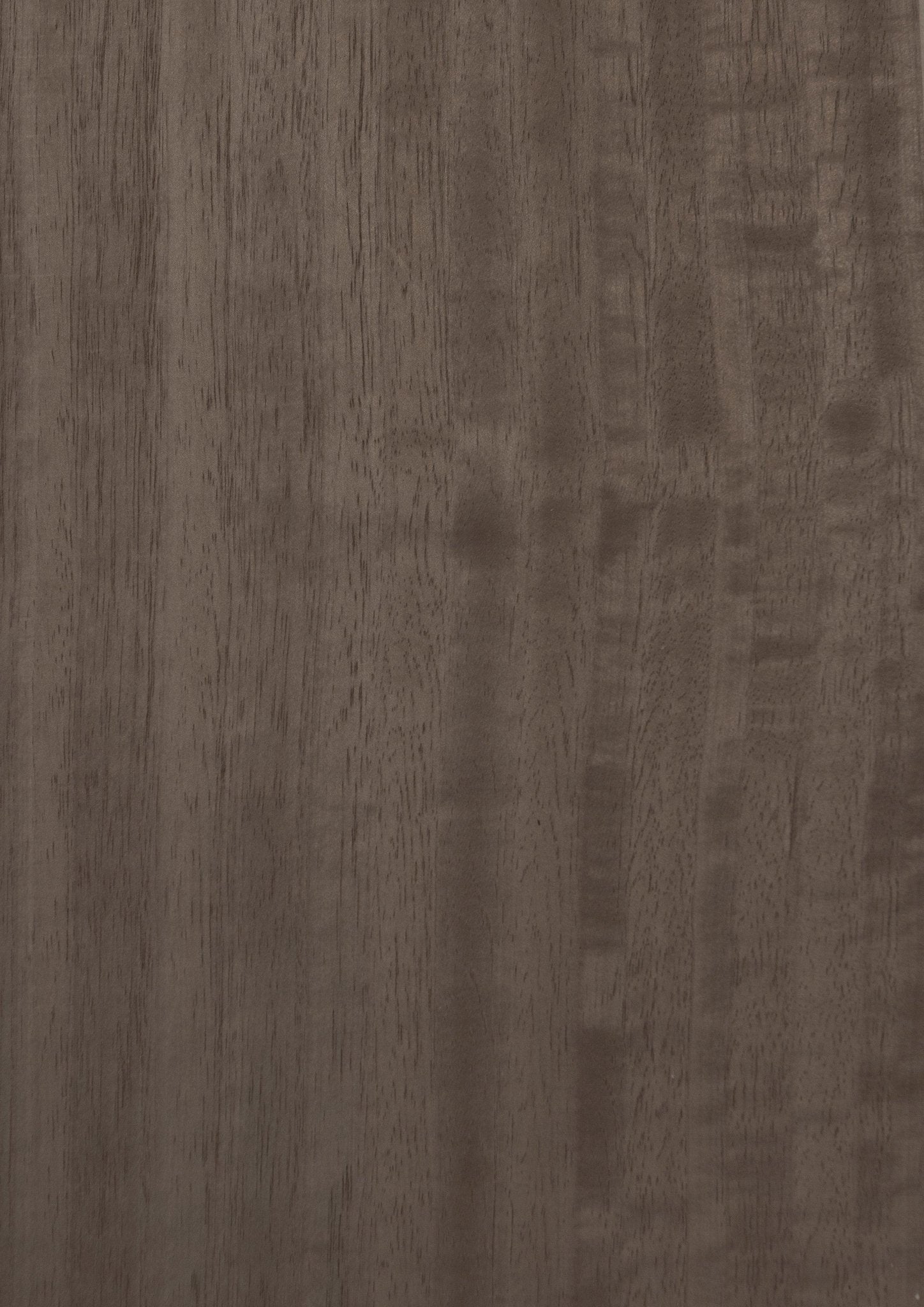 Wood Veneer - Silvered Figured Eucalyptus - DF Richards Veneers