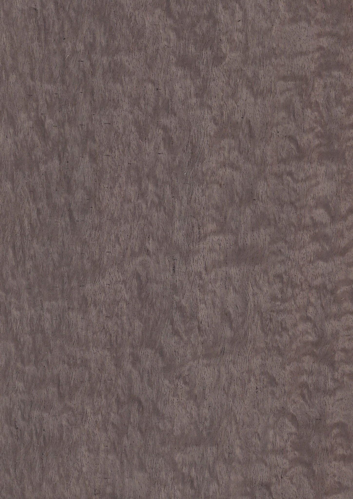 Wood Veneer - Silvered Pommelle Eucalyptus - DF Richards Veneers