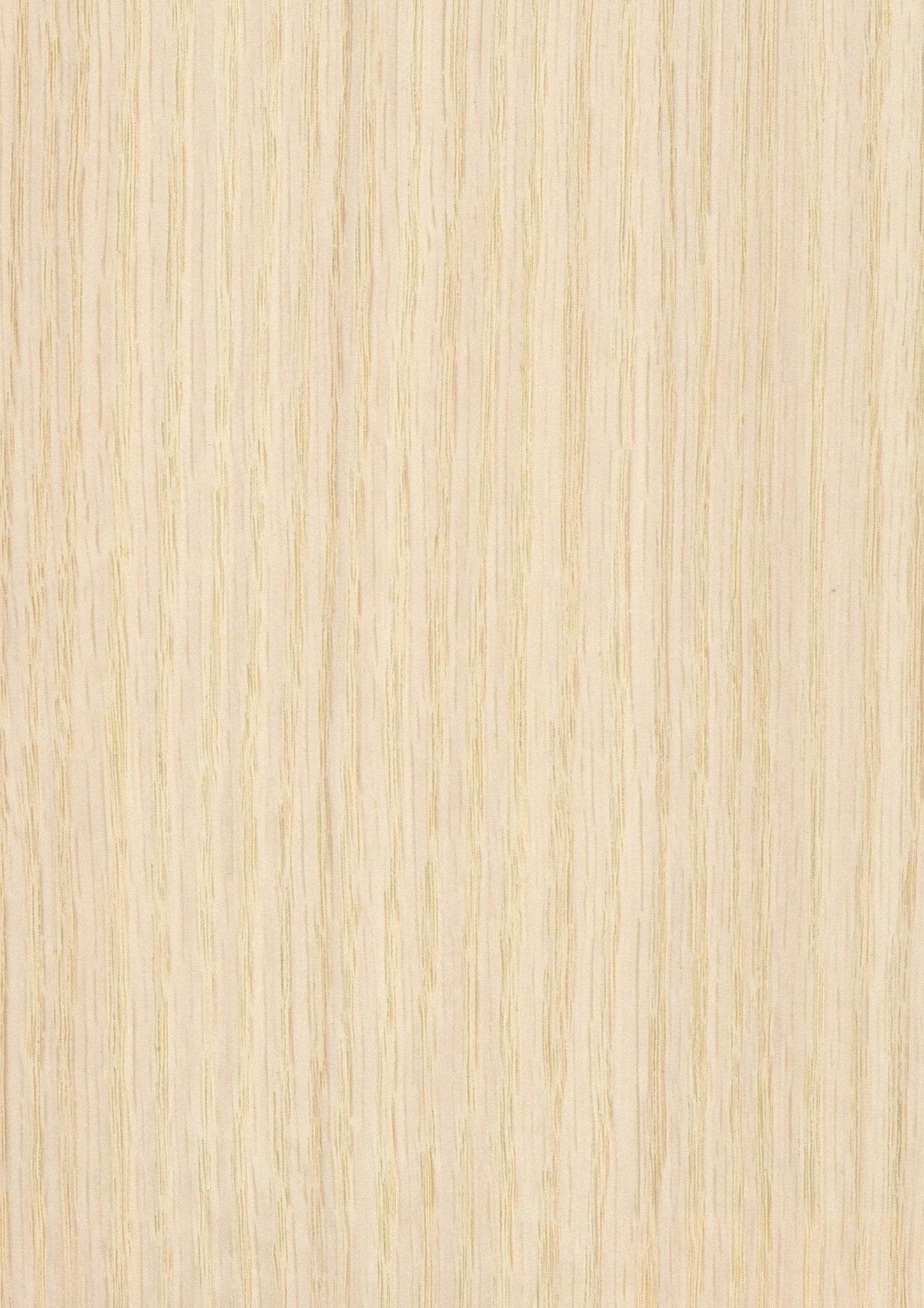 Wood Veneer - Uniblanco Oak BCO 100 - DF Richards Veneers