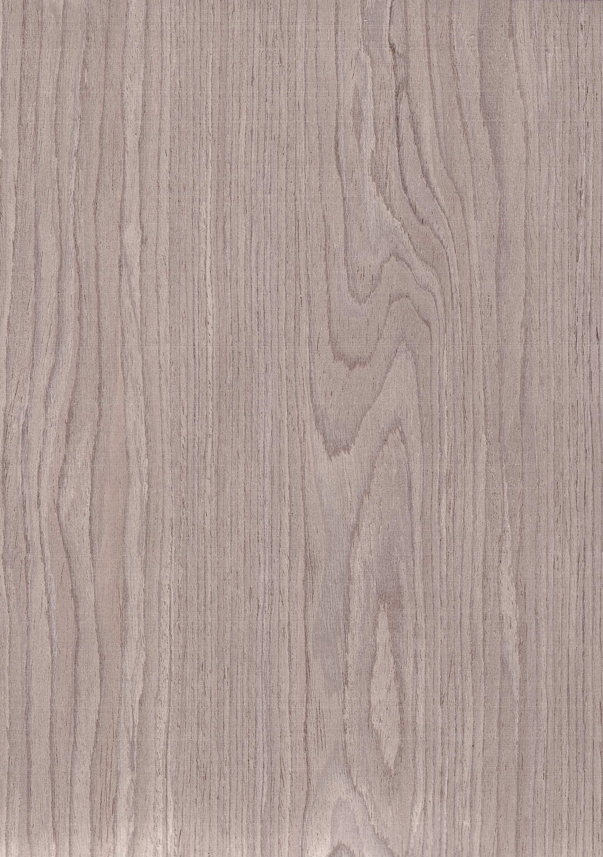 Planked Silver Oak Planked 771N - Wood Veneer - Value Engineered Veneer