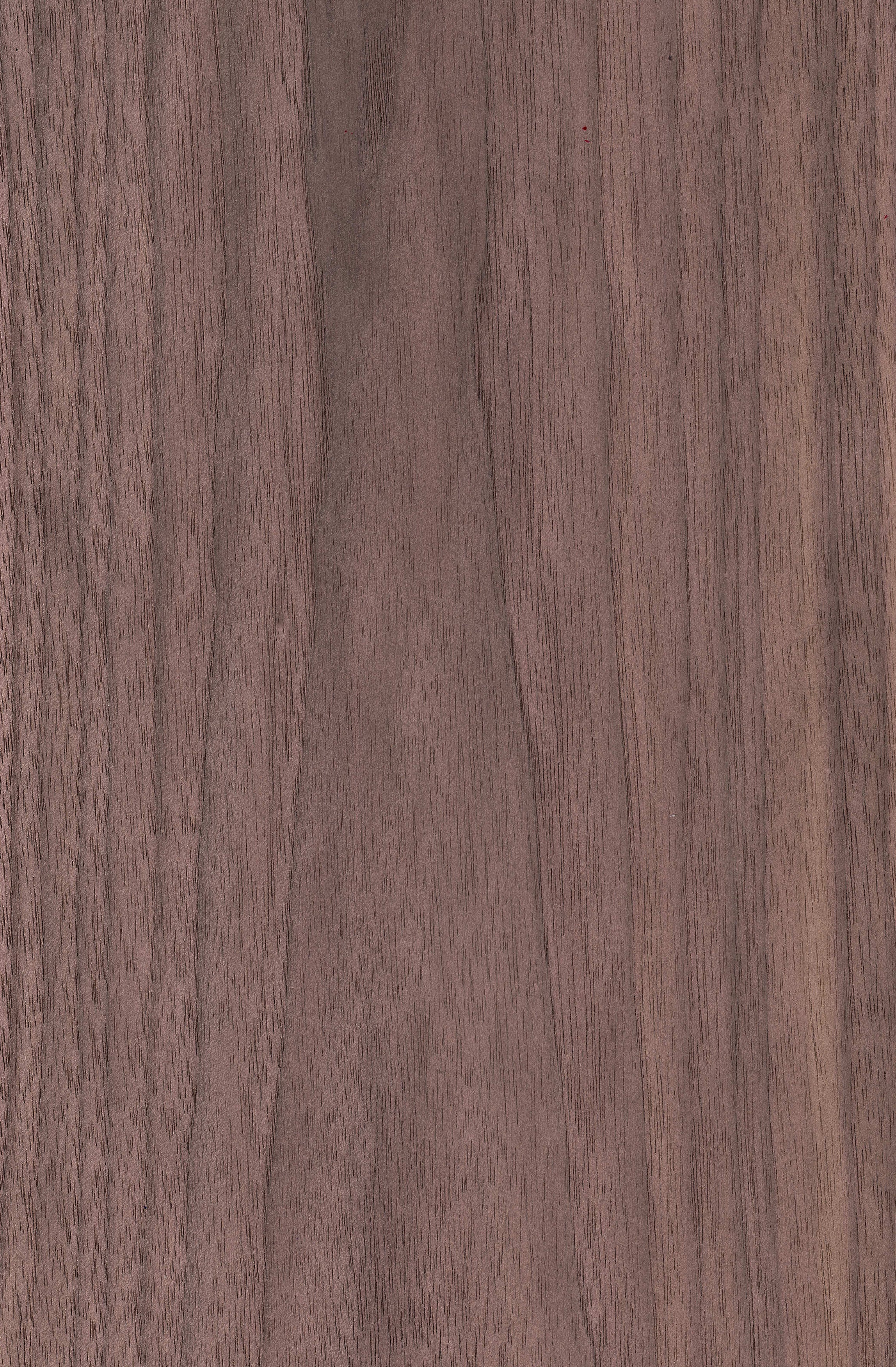 Matte Walnut Walnut Wood Veneer Texture