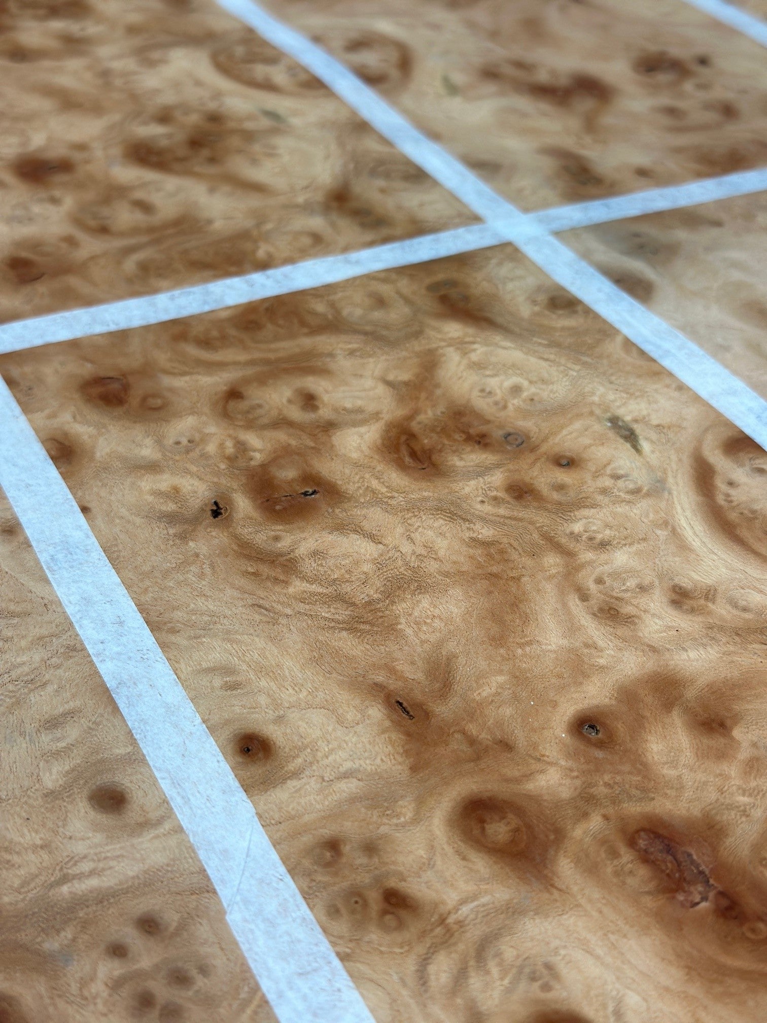 Elm Burr