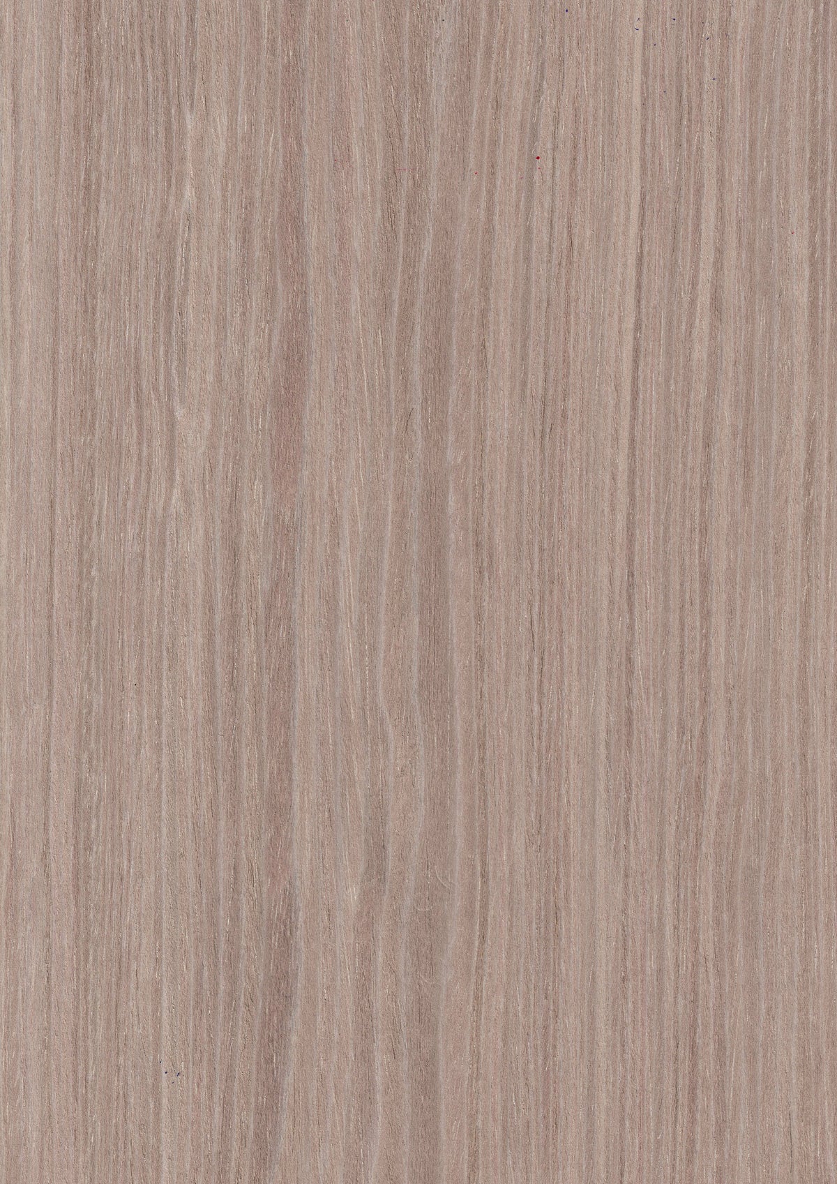 Grey Oak Planked 7792N