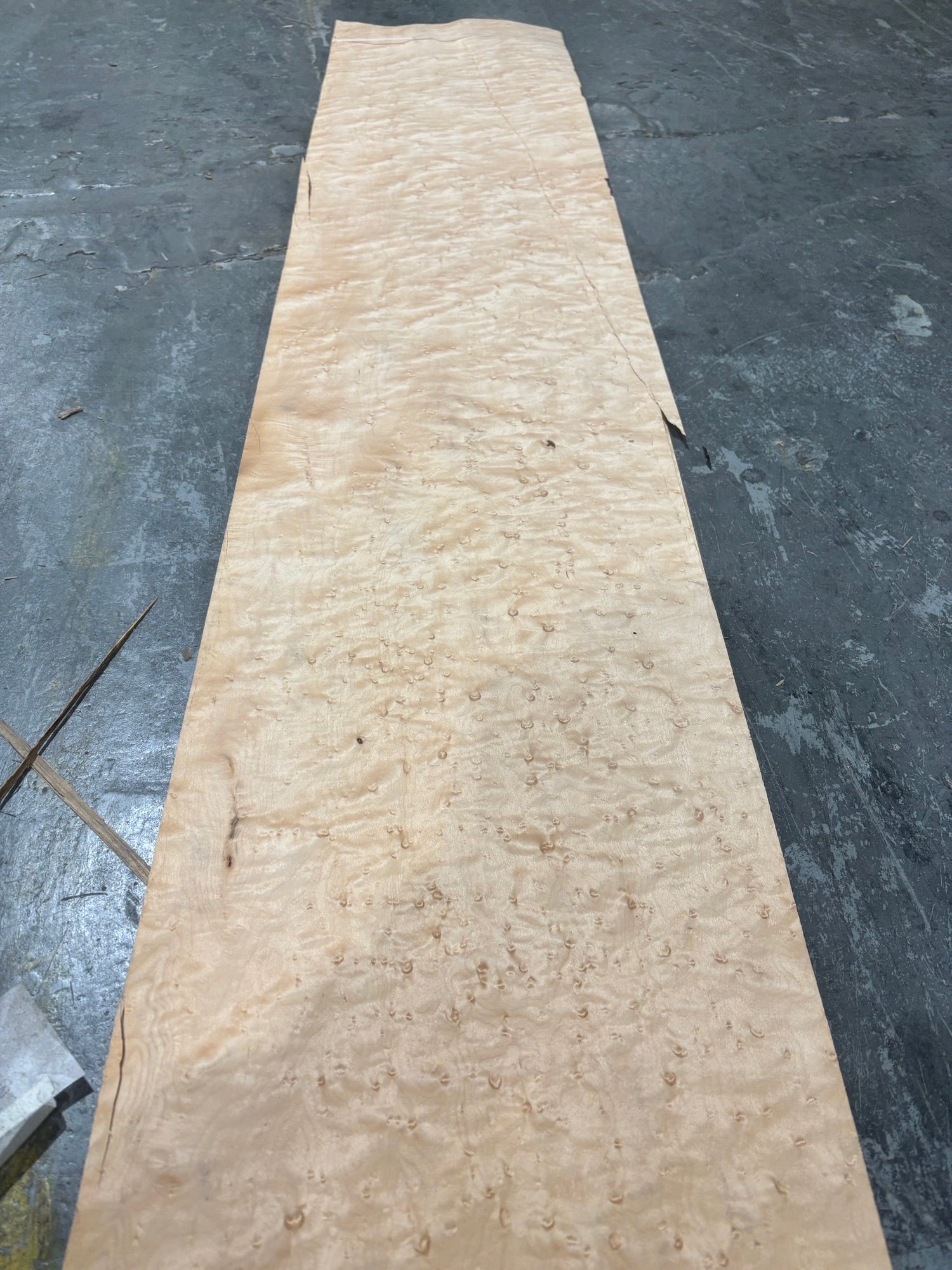 Birds Eye Maple