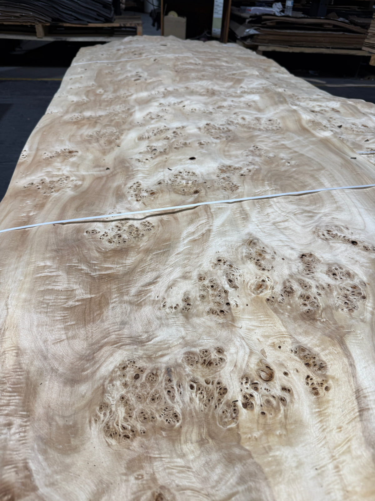 Wood Veneer - Poplar Burr - DF Richards Veneers