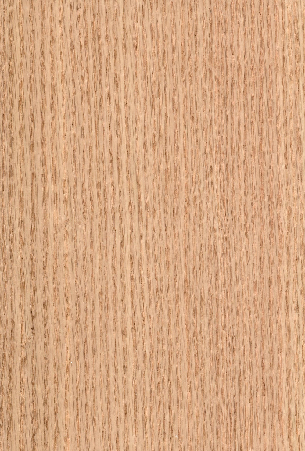 American Red Oak- Wood Veneer