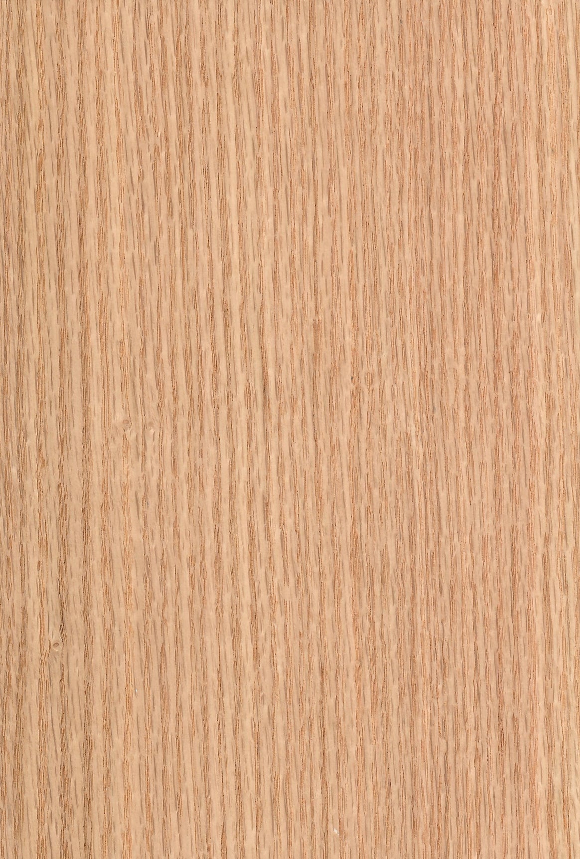 American Red Oak - DF Richards