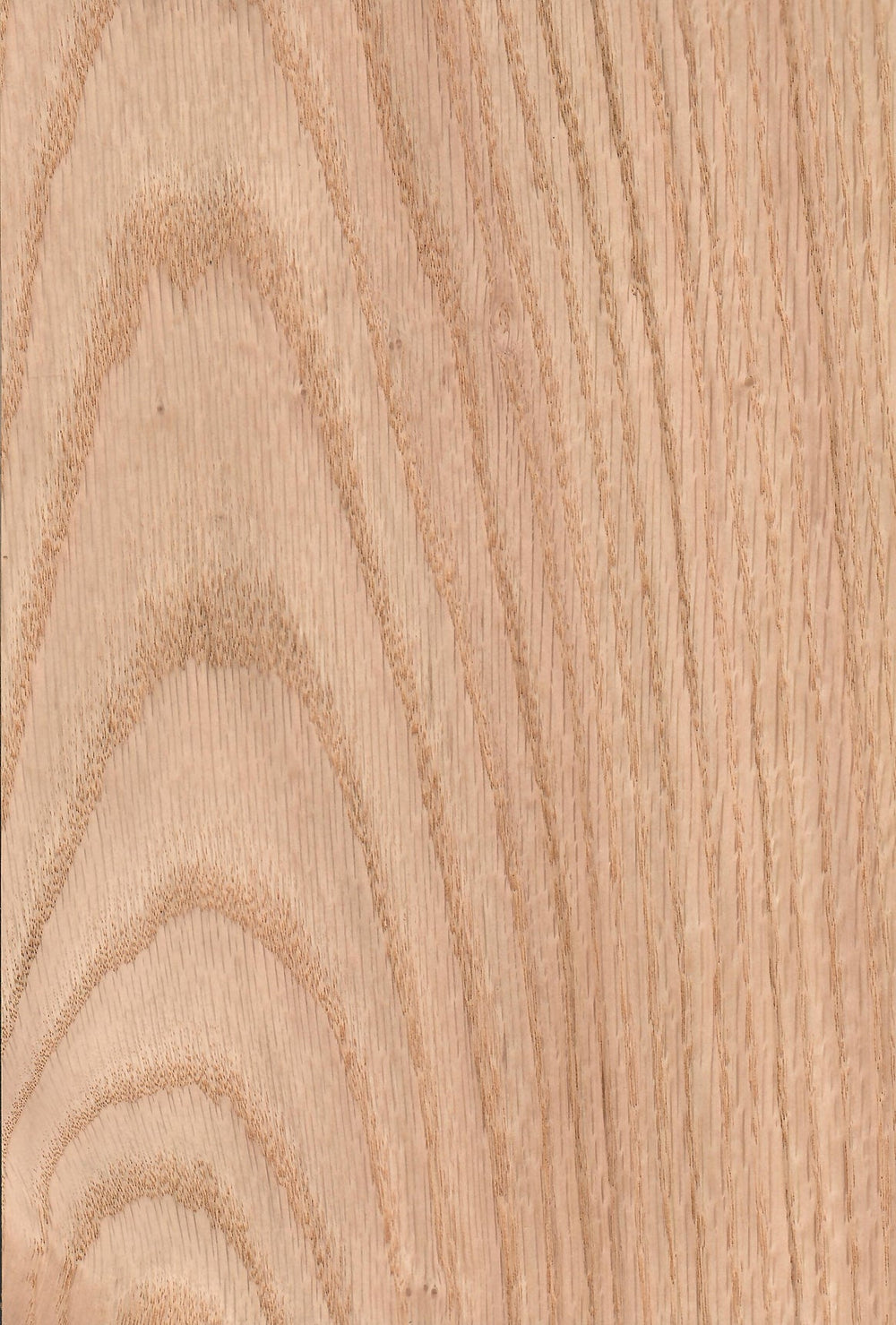 American Red Oak- Wood Veneer