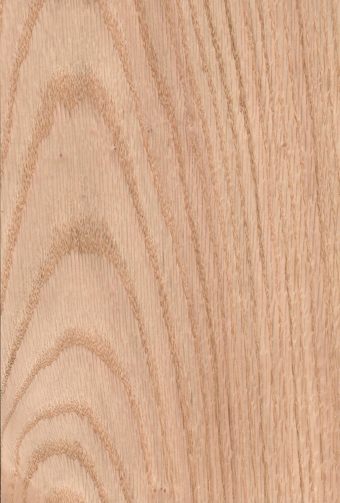 Oak Wood Grain Photo Oak Wood Grain Sample 6,900+ Wood Grain Samples
