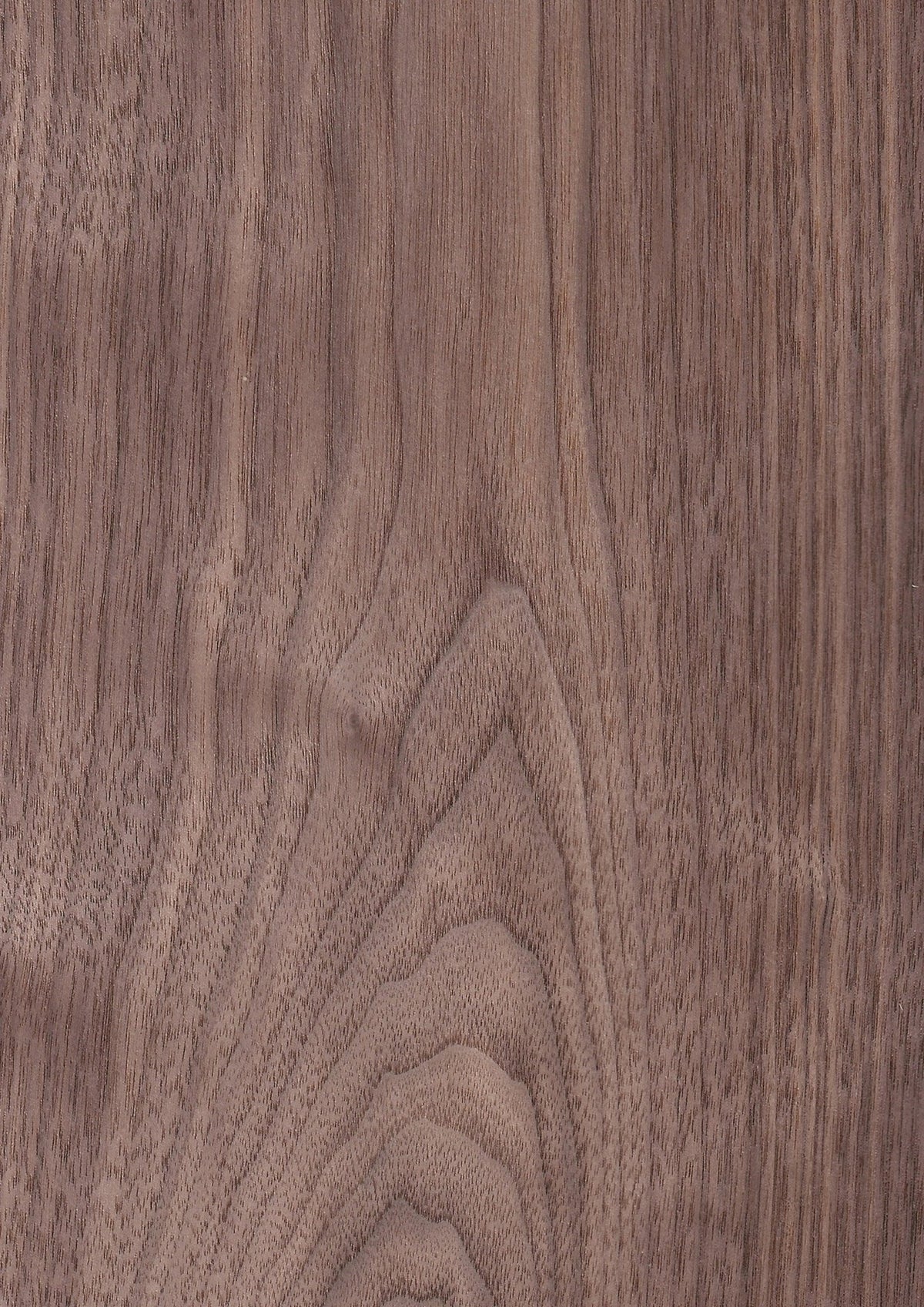 Walnut Pattern Names American Walnut- Wood Veneer