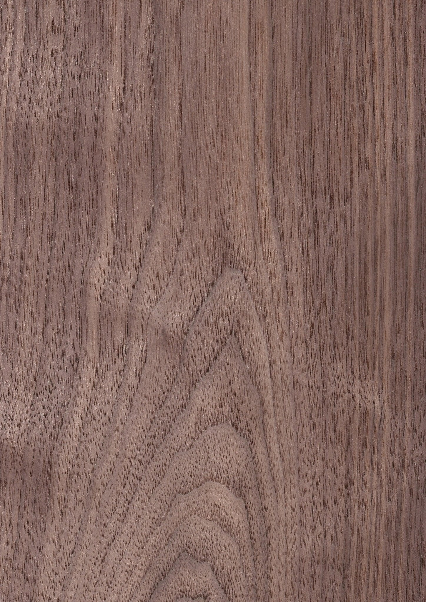 American Walnut Veneer