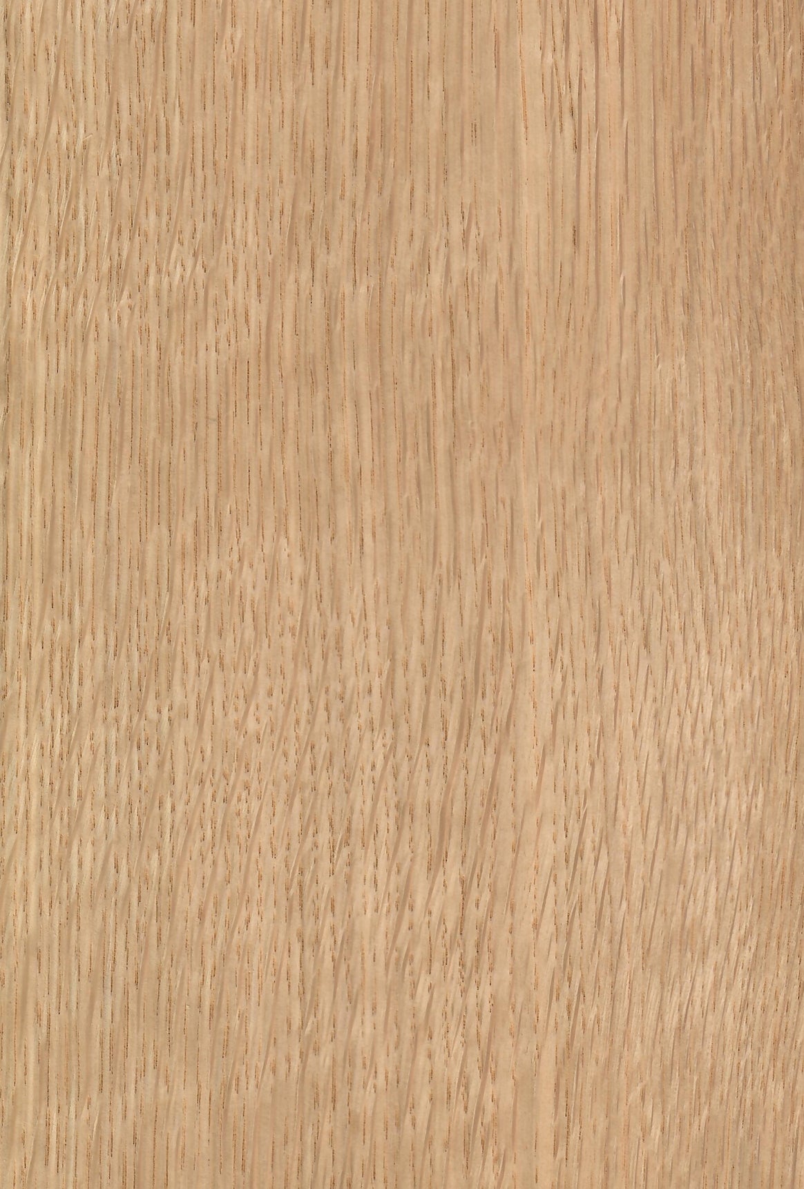 American White Oak - DF Richards