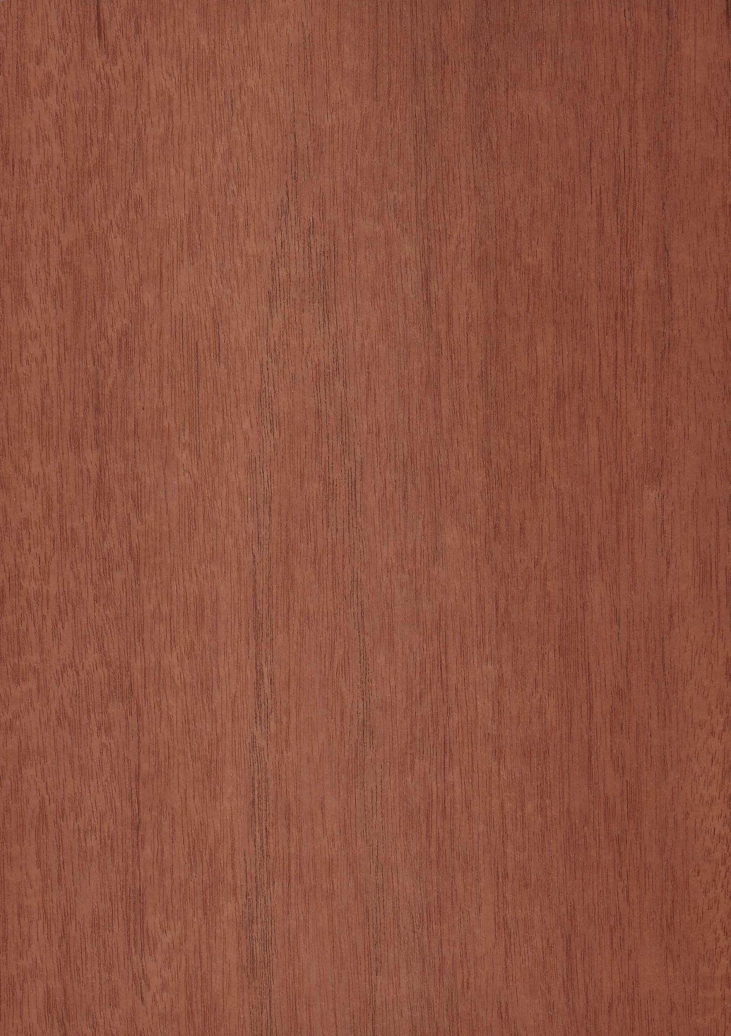 Brazilian Mahogany - DF Richards