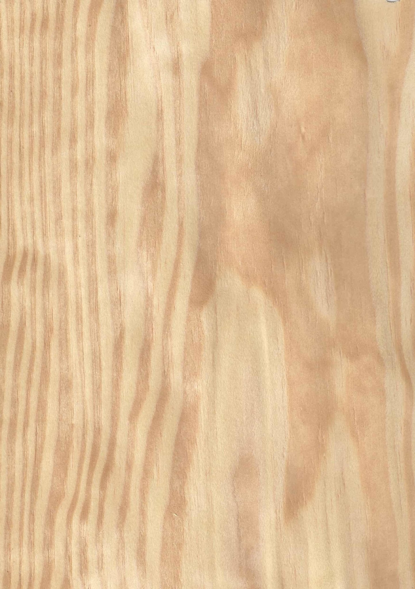 Carolina Pine Wood Veneer