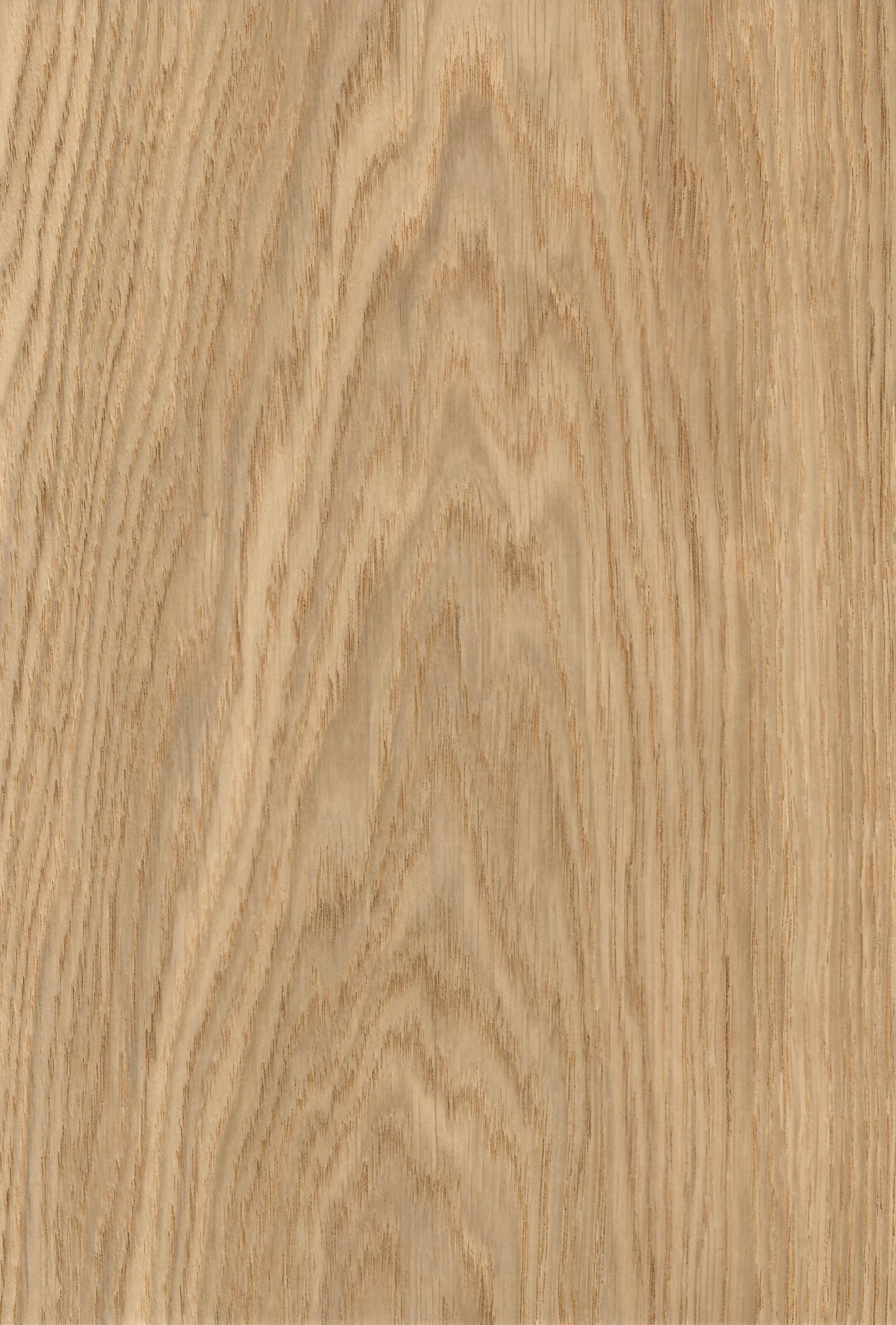 European Oak - DF Richards